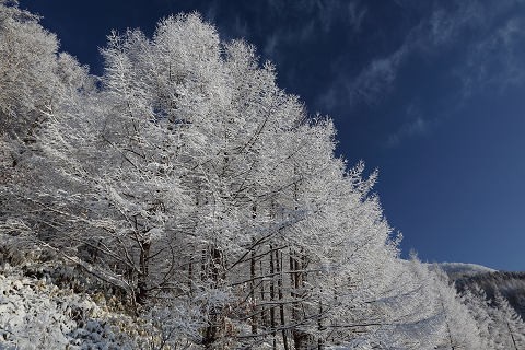 まだまだ冬景色