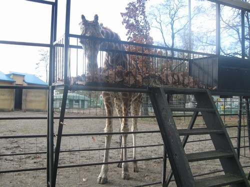 帯広動物園に行ってきました