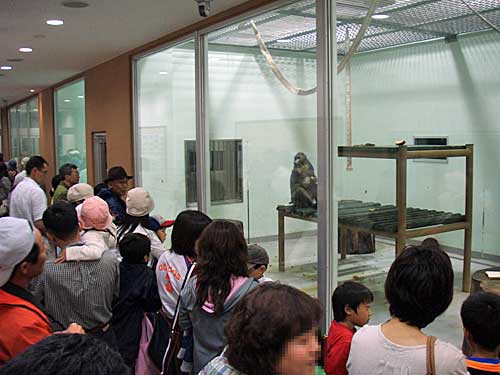 雨降らず!祈り届く!よるの動物園終了