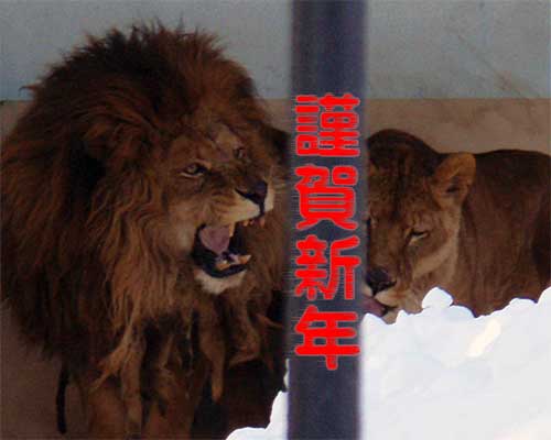 平成22年元日