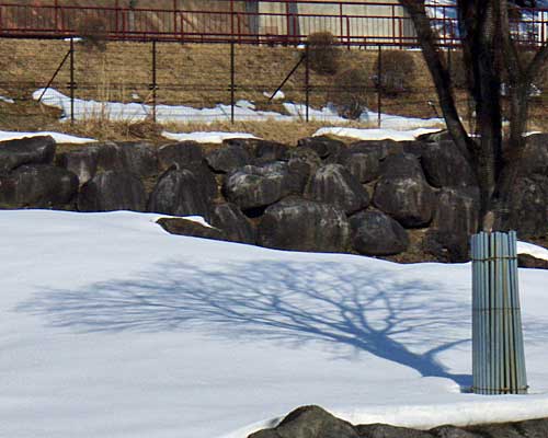 盛岡市動物公園