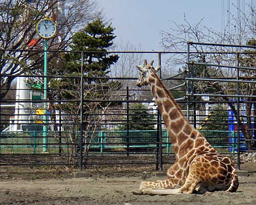 ただ今11時10分・・・っと！