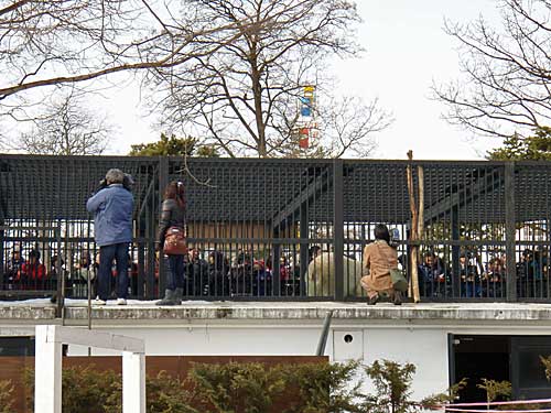 速報！入園者数１７万人突破！！