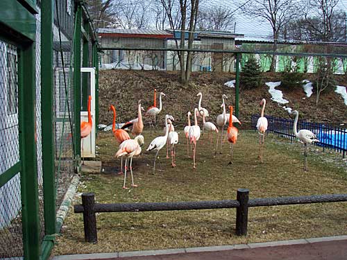 園内の風景１（動物付き）