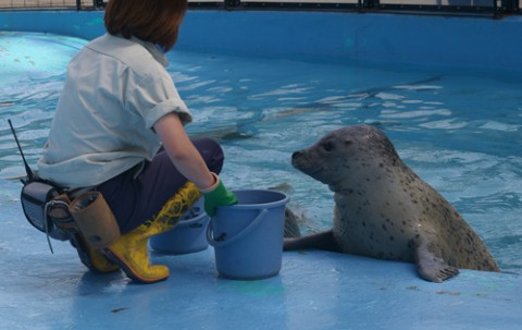 動物園の仲間たち写真館2