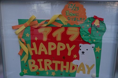 2013年、アイラのお誕生日イベント