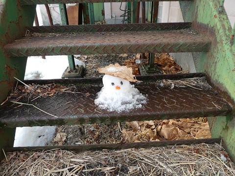 雪だるま