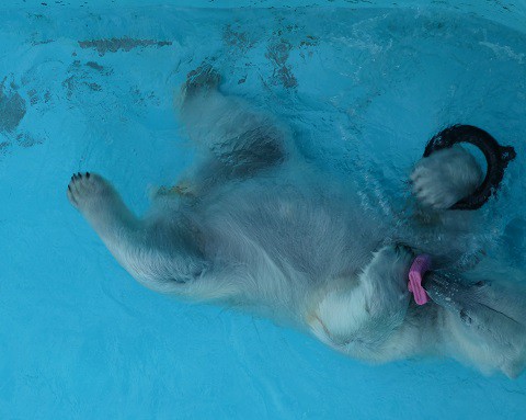 まるで水中