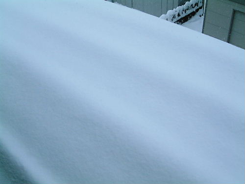 降り続く～雪雪雪、又、雪よ～♪