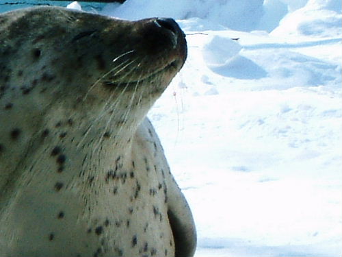 今日の１番人気