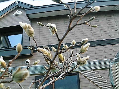 早すぎないかい!