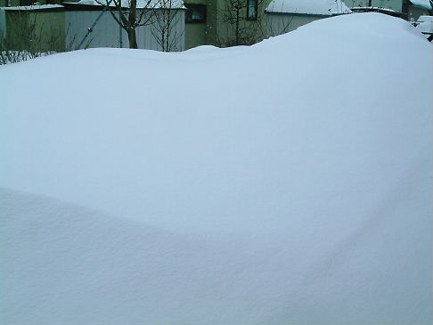 家の前が雪漠!