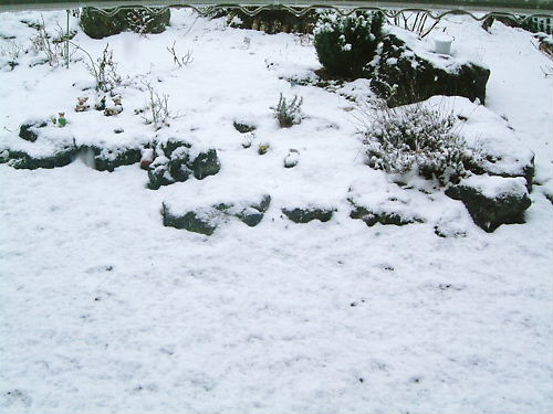 なごり雪