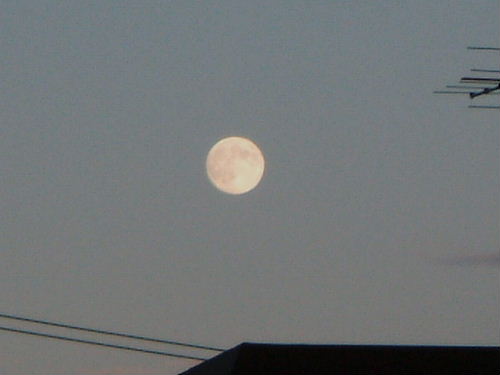 今宵は15夜、中秋の名月！