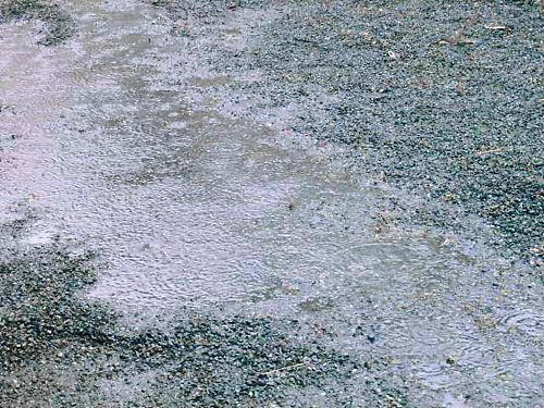 雨だね・・・