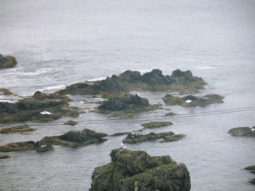 暑すぎたので海へ♪③続・襟裳岬だ！