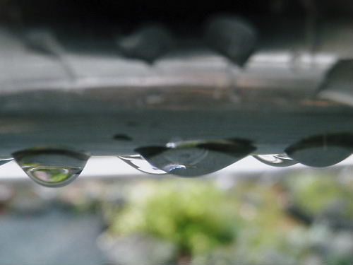 雨の雫