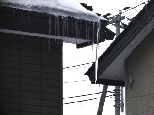 ツララ日記、今年は駄目だね・・・(-_-;)