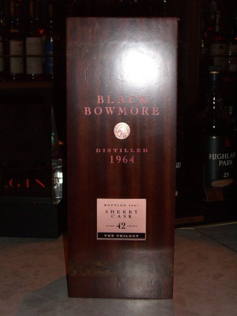 大物ルーキーが仲間入り!!