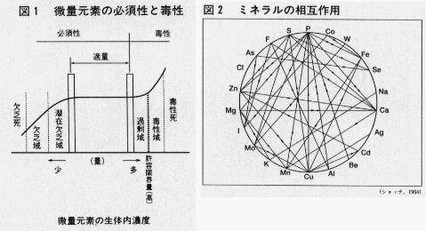 2～ミネラルの秘密