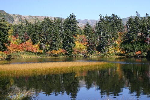 高原温泉の紅葉