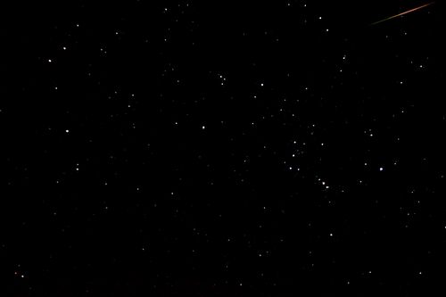 オリオン座流星群2009 写真撮影に成功