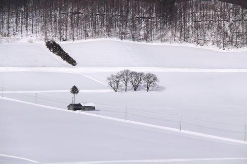 富良野で見かけた素敵な風景