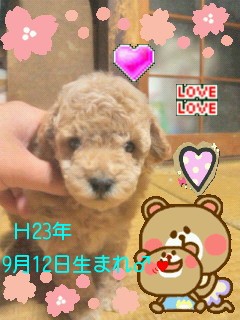 孫の病院の帰り道