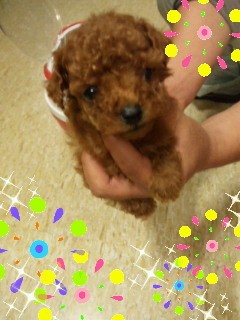 今日は冷静に