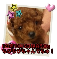 生まれました