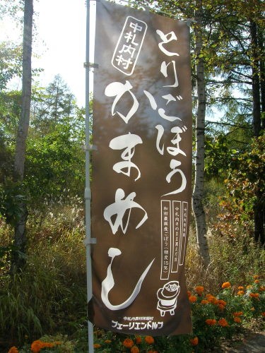 気になってはいたのです!