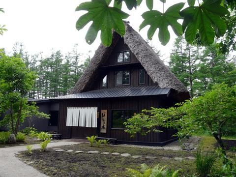 十勝千年の森