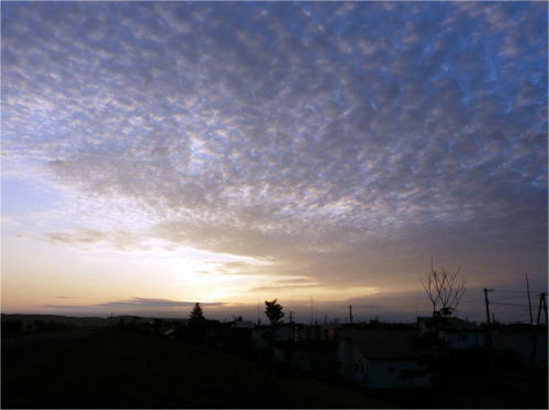 うろこ雲の朝焼け