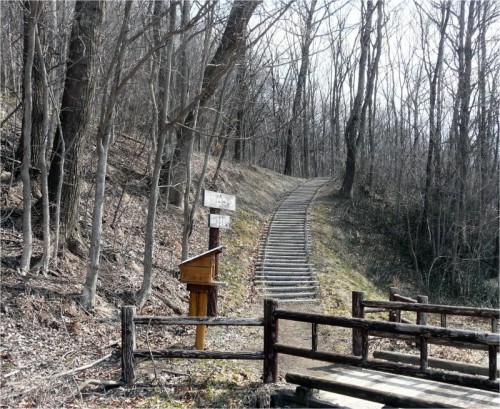 国見山自然観察教育林