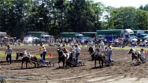 東士幌のばん馬大会