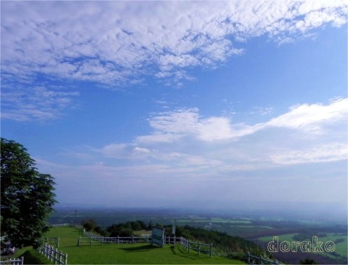 清水町円山展望台と　野鳥は？