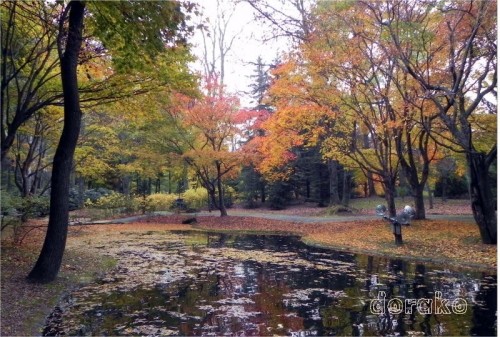 真鍋庭園で紅葉透かし撮り