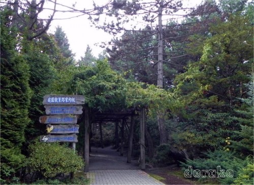 真鍋庭園、ノウサギコースの約 60分を散策