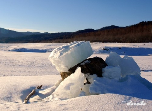 糠平湖のきのこ氷他自然の造形