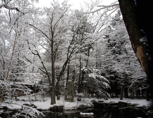 帯広神社と水公園の雪景色