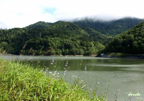 糠平、三股、三国峠、然別を二人と一匹の家族でドライブ