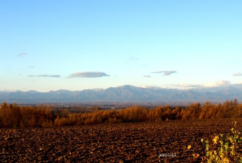 立冬の今朝の風景と収穫された和捻じょ