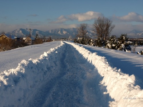 遊歩道が除雪されてたおかげでダイアモンドダストが見られました