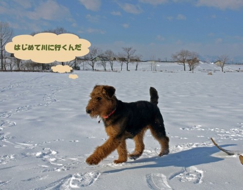 河原まで散歩がてら石を拾いに・・
