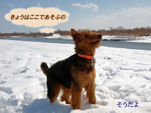 河川敷で遊ぶエルと今朝の日の出