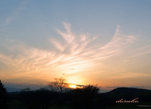 日の出が見られなかったので夕焼けです