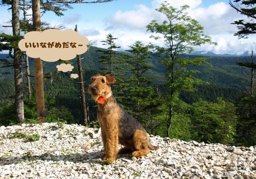 三股の山の風景