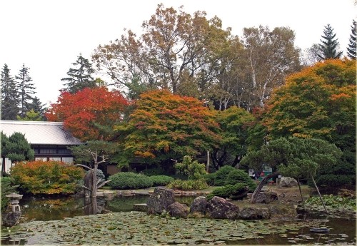 紅葉には少し早かった真鍋庭園