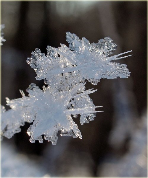 浦幌で写した自然の芸術をデジブックにしました