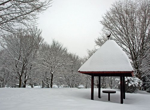 雪撥ねは終わりましたか?
